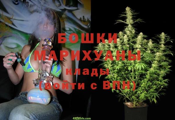 стаф Дмитров