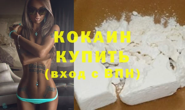 стаф Дмитров