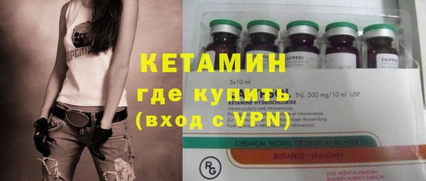 стаф Дмитров