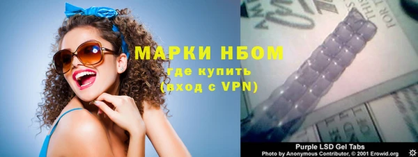 стаф Дмитров