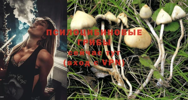 MDMA Дмитровск