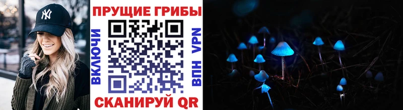 Псилоцибиновые грибы мицелий  Купить закладки  Жигулёвск 